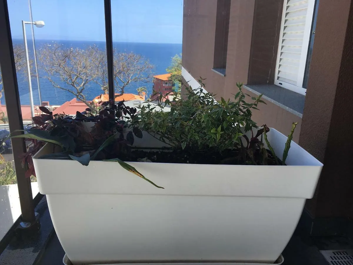 Apartmán Tamariz Adventure - Sea View And Free Parking Caniço